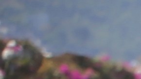 La policía de Haití ha estado combatiendo sin resultados a las pandillas que causan una crisis de violencia en el país.