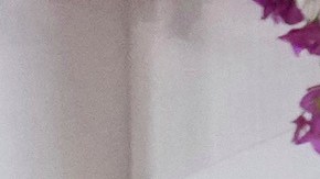 Oscar 2024: los mejores looks de la alfombra roja de la noche más importante del cine