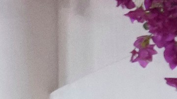 Oscar 2024: los mejores looks de la alfombra roja de la noche más importante del cine