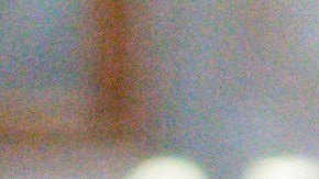 Fiscalía de Nueva York acuerda aplazar 30 días el juicio penal de Trump por pagos a actriz Stormy Daniels