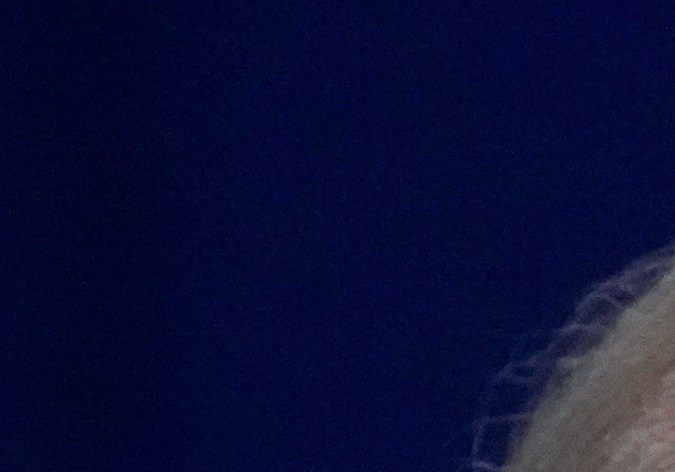 La secuela de las elecciones de 2020 está oficialmente fijada porque Biden y Trump consiguieron los delegados requeridos.