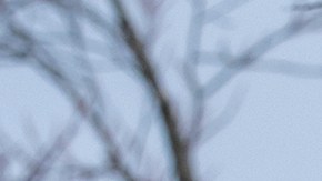 Devotees of TikTok cheer their support to passing motorists at the Capitol in Washington, before the House passed a bill that would lead to a nationwide ban of the popular video app if its China-based owner doesn't sell, Wednesday, March 13, 2024. Lawmakers contend the app's owner, ByteDance, is beholden to the Chinese government, which could demand access to the data of TikTok's consumers in the U.S. (AP Photo/J. Scott Applewhite)