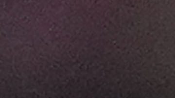 Jugadaores del Atlético de Madrid celebran el pase del equipo a los cuartos de final del torneo europeo.