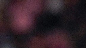 Jugadores del Inter Miami celebran uno de los goles que le marcaron al Nashville SC.