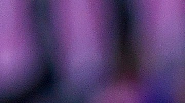 El astro argentino Lionel Messi durante el partido del miércoles en el que el Inter Miami selló su pase a los cuartos de final de la Concachampions.