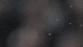 Edson Álvarez le gana un remate con la cabeza a Nicolas Hoefler.