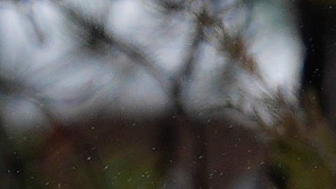Al menos 16 estados bajo alertas de clima invernal se enfrentan a una gran tormenta de nieve