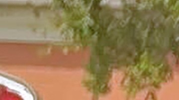 Peter Navarro se presenta a prisión federal para cumplir a cumplir condena de 4 meses