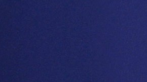 Una votante muestra su cartel después de emitir su voto en Chicago, Illinois, uno de los cinco estados que celebraron primarias presidenciales.