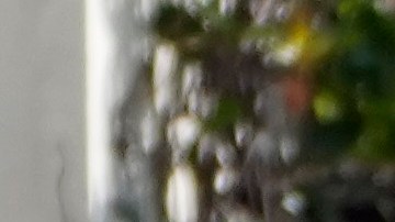 Donald y Melania Trump se marchan después de votar en las elecciones primarias de Florida en Palm Beach, el martes 19 de marzo de 2024.