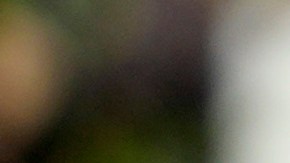 Donald Trump revela apoyo a prohibición del aborto después de la semana 15 de gestación.