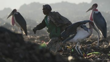 Basura electrónica “ahoga” al mundo; ONU advierte que humanidad generó 62 millones de toneladas