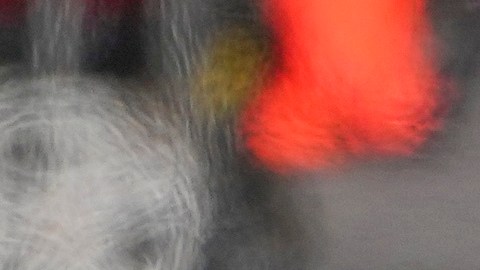 Red Bull driver Sergio Perez of Mexico steers his car out of pit lane during the qualifying session for the Australian Formula One Grand Prix at Albert Park, in Melbourne, Australia, Saturday, March 23, 2024. (AP Photo/Scott Barbour,Pool)