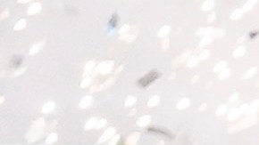 United States players celebrate on the podium after a win over Mexico in a CONCACAF Nations League final soccer match, Sunday, March 24, 2024, in Arlington, Texas. (AP Photo/Julio Cortez)