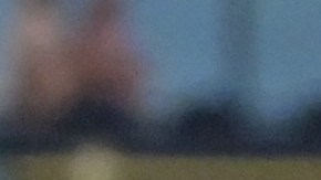 Los mexicanos de los Tampa Bay Rays, Isaac Paredes y Randy Arozarena, celebrando el cuadrangular conectado por el jardinero.