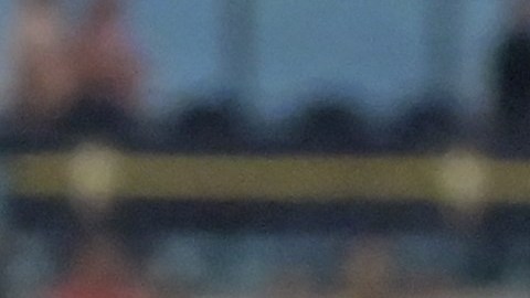 Los mexicanos de los Tampa Bay Rays, Isaac Paredes y Randy Arozarena, celebrando el cuadrangular conectado por el jardinero.