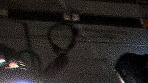 ¿Buceaba el espinosaurio para cazar sus presas o lo hacía desde la orilla? El debate aún continúa.