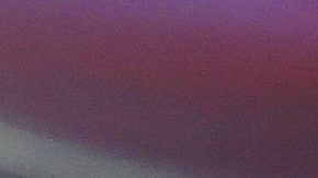 William 'Camarón' Zepeda