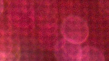 Chiquis Rivera en México.