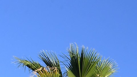 LOS ANGELES, CA - SEPTEMBER 18: Los Angeles Dodgers' Dodger Stadium Express on September 18, 2023 at Union Station & Dodger Stadium in Los Angeles, California.