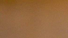 Elizabeth Jean Carroll, víctima de Donald Trump