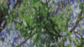 Eduardo Santamarina | Foto: Mezcalent