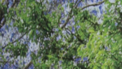 Eduardo Santamarina | Foto: Mezcalent