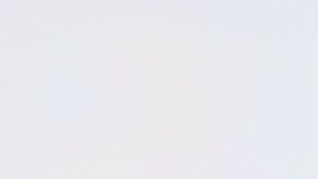 Eugenio Derbez y Alessandra Rosaldo | Foto: Mezcalent