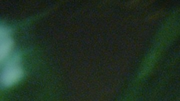 "Godzila X Kong: The New Empire" | Foto: Cortesía/ Warner Bros. Pictures