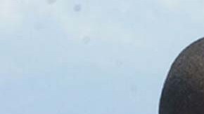 Inmigrantes haitianos fueron arrestados en Florida