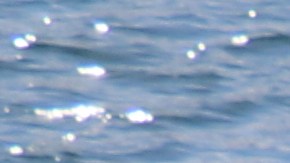 Un trabajador del puerto limpia el agua de basura que tira la gente.