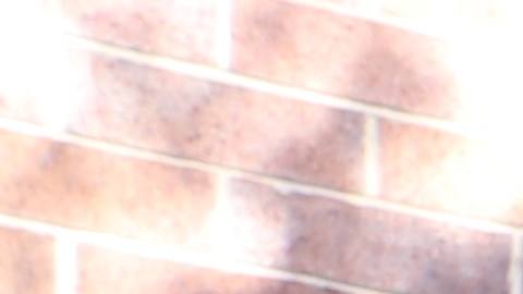 Irma Castellanos, su hija Kendra, Narciso Arriaga, padre de la doctora y su hermano Jonathan.