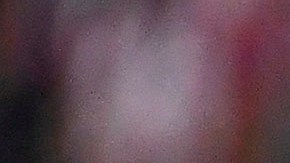 Zapopan, Jalisco, 10 de septiembre de 2022. Elemento de la policia estatal saluda a la bandera, durante el partido de la jornada 14 del torneo Apertura 2022 de la Liga BBVA MX, entre las Chivas Rayadas del Guadalajara y el Club Puebla, celebrado en el estadio Akron. Foto: Imago7/ Lorena Barba