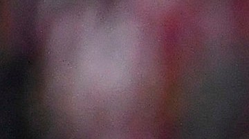 Zapopan, Jalisco, 10 de septiembre de 2022. Elemento de la policia estatal saluda a la bandera, durante el partido de la jornada 14 del torneo Apertura 2022 de la Liga BBVA MX, entre las Chivas Rayadas del Guadalajara y el Club Puebla, celebrado en el estadio Akron. Foto: Imago7/ Lorena Barba