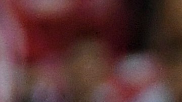 Zapopan, Jalisco, 4 de marzo de 2023. , durante el partido de la jornada 10 del torneo Clausura 2023 de la Liga BBVA MX, entre las Chivas Rayadas del Guadalajara y los Guerreros de Santos Laguna, celebrado en el estadio Akron. Foto: Imago7/Sandra Bautista