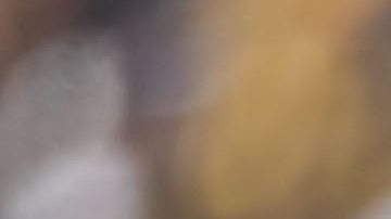 Sebastián Sosa fue guardameta de Pumas en el Torneo Clausura 2023.