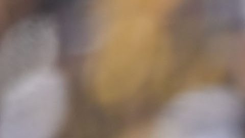 Sebastián Sosa fue guardameta de Pumas en el Torneo Clausura 2023.