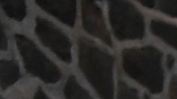 Ciudad de México, 21 de noviembre de 2023. Henry Martin durante el partido de vuelta de los Cuartos de Final de la Liga de Naciones de la Concacaf 2023-2024, entre la Selección Nacional de México y la Selección de Honduras, celebrado en el estadio Azteca. Foto: Imago7/ Etzel Espinosa