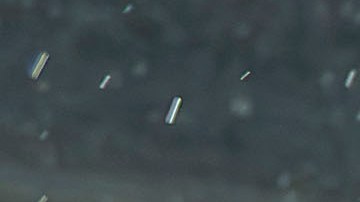 Ciudad de México, 21 de noviembre de 2023. Julián Quiñones durante el partido de vuelta de los Cuartos de Final de la Liga de Naciones de la Concacaf 2023-2024, entre la Selección Nacional de México y la Selección de Honduras, celebrado en el estadio Azteca. Foto: Imago7/ Etzel Espinosa