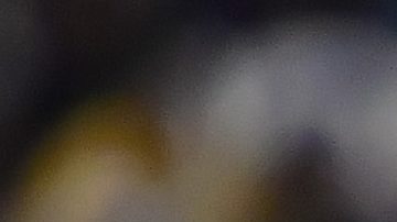 Andrés Guardado, jugador del Club León.