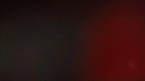 Isaac Brizuela resaltó el liderazgo de Chicharito.