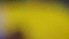 Guadalajara, Jalisco a 2 de Marzo de 2024. , durante el partido correspondiente a la jornada 10 del torneo Clausura 2024 de la Liga BBVA MX, entre los rojinegros del Atlas y las águilas del América, realizado en el estadio Jalisco. Foto: Imago7/ Juan Carlos Cubeyro.