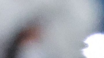 El Pachuca viene de perder en la Liga MX ante Querétaro.