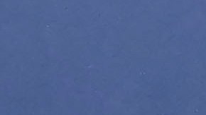 Edson Álvarez anotó un gol ante Panamá en el Final Four.