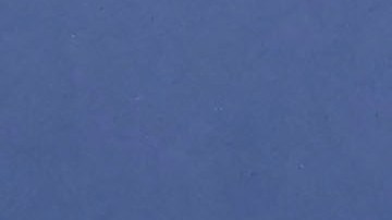 Edson Álvarez anotó un gol ante Panamá en el Final Four.