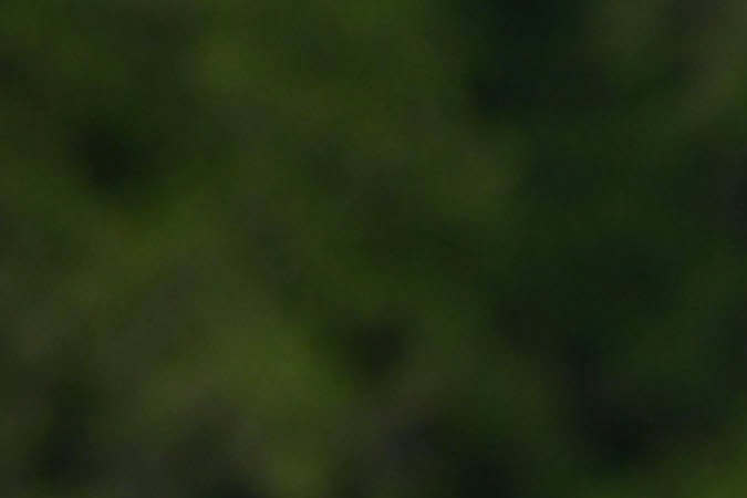 Una imagen que demuestra el buen ánimo que hay dentro de la Selección de México de cara a la instancia decisiva de la Nations League en donde se estarán viendo las caras ante Estados Unidos.