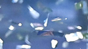 La selección de Estados Unidos levanta el trofeo de la Nations League de la Concacaf tras vencer a México 2-0 en Dallas.