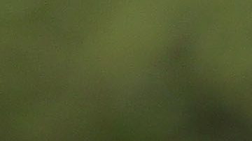 Rafa Márquez dirige en las inferiores del FC Barcelona.
