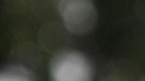 Cancun, Quintana Roo, 16 Septiembre de 2012: Ricardo Lavolpe, DT de Atlante, durante el partido correspondiente a la jornada 8 de la LIGA MX 2012, entre los Atlante vs Tijuana, realizado en el estadio Andres Quintana Roo. Foto: Imago7/Carlo Fernandez