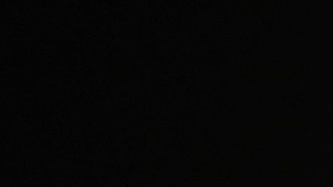 La mascota de Veracruz con disfraz de Gokú.